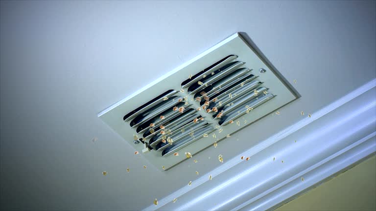 Best Affordable HVAC Duct Cleaning  in Willow Grove, PA